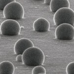 nanoparticelle nanoparticelle